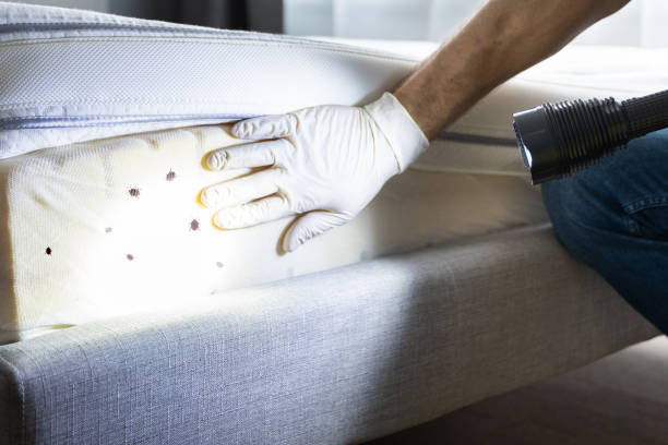 Best Affordable Pest Control Services  in North Ogden, UT